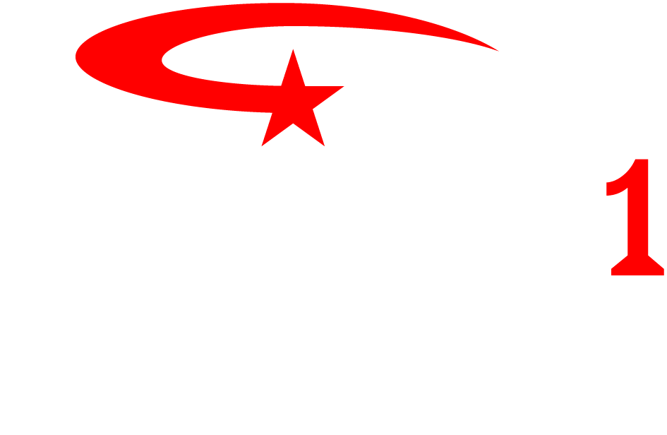 Surety One, Inc.